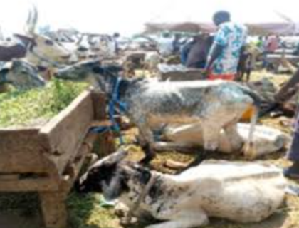 70-Year-Old Ibadan Butcher Beaten to Death