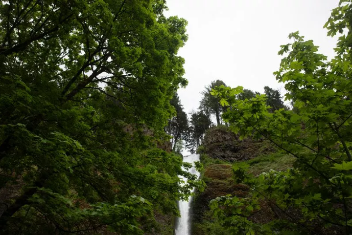 Woman Falls To Her Death 60ft Off Cliff At Oregon Hiking Spot