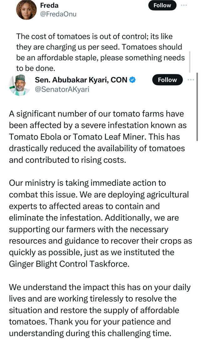 Tomato Prices Surge Due to Farm Infestation and Scarcity, Says Agric Minister Abubakar Kyari