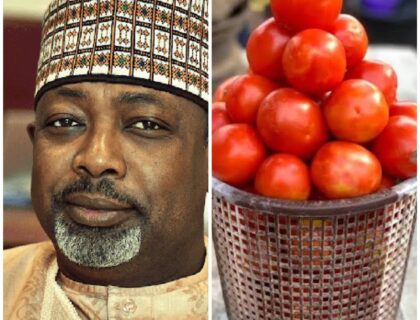 Tomato Prices Surge Due to Farm Infestation and Scarcity, Says Agric Minister Abubakar Kyari