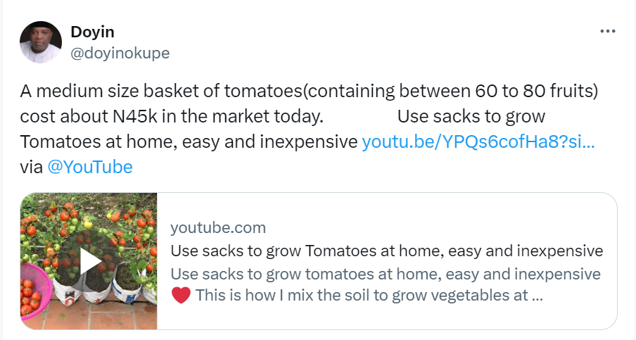 Doyin Okupe Advises Nigerians to Use Sacks for Tomato Farming Amid Rising Prices