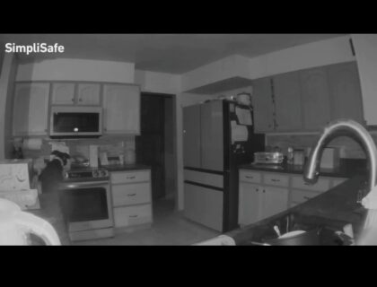 Dog Turns On Gas Cooker And Burns Down Home While Family Was Asleep