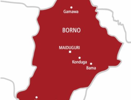 Borno Commissioner – Suicide Bomber Begged For Alms Before Detonating Explosive
