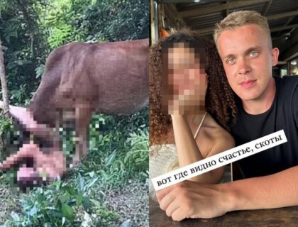 Horrifying New Details Emerge About Man Gored While Attempting To Rape Cow