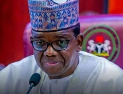 Defence Minister Says Armed Forces Need 200 Million Rounds of Ammunition Annually, Costing Government N600 Billion