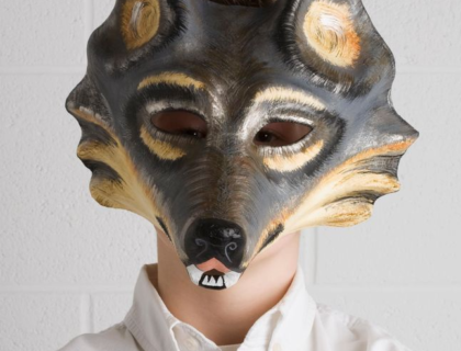 Concerns Emerge as Primary School Pupils Begin Identifying as Animals