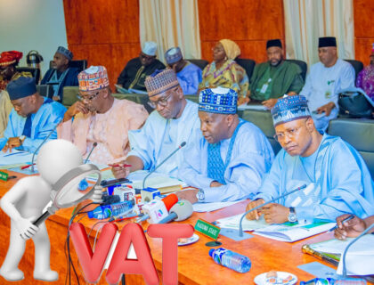 Northern Governors Stand Against New Tax Amendment Bill