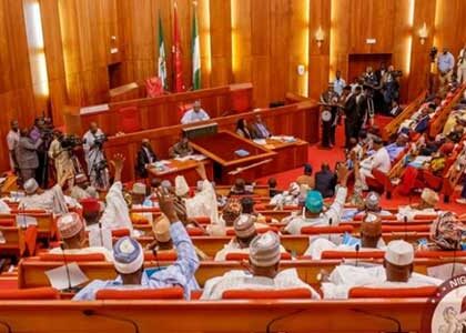 Senate Urges Libyan Government to Apologize to Nigeria Following Super Eagles Incident