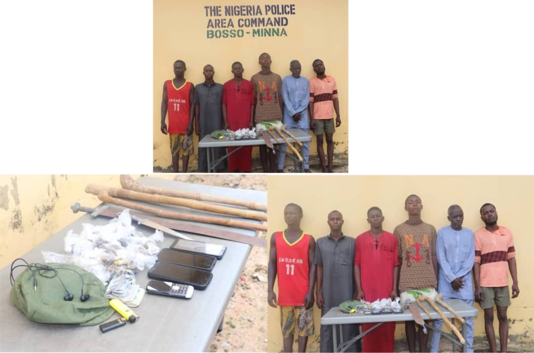 Police Detain Six Suspects for Thuggery, Armed Robbery, and Possession of Dangerous Weapons in Niger State