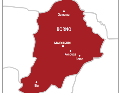 Boko Haram Kills 3 and Abducts Fishermen in Borno
