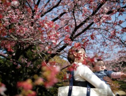 Japan’s Birthrate Drops to Historic Low
