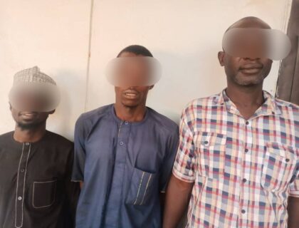 Adamawa Police Arrest Three for Allegedly Vandalizing Transformer Cables