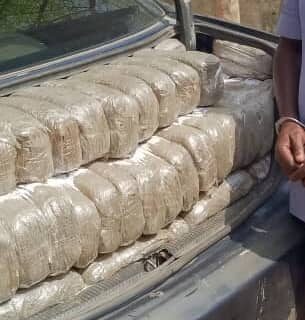 Fake Police Officer Caught with 495kg of Indian Hemp in Gombe
