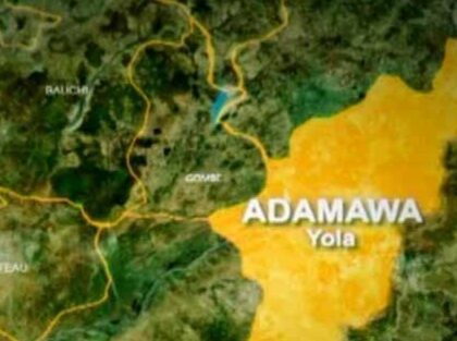 Butcher Kills Brother Over N200 Meat Dispute in Adamawa