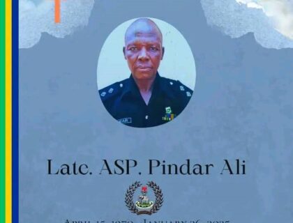 Six Arrested Over Killing of Two Police Officers in Yobe