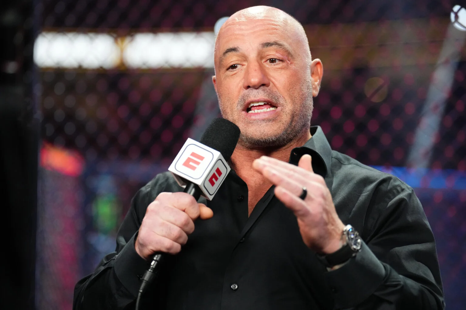 Joe Rogan Shocked After Fighter He Called ‘Future Champion’ Gets Knocked Out By Sean O’Malley
