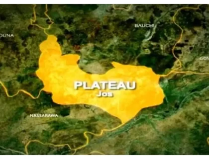 Four Herders and Nine Cows Killed in Plateau State Attacks