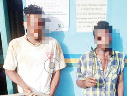 Two Arrested for Vandalizing Streetlight Cables in Lagos