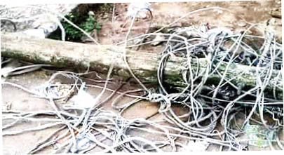 Fallen Power Cable Electrocutes Three-Year-Old Girl in Anambra