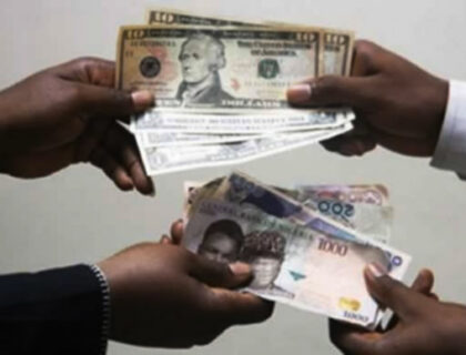 Forex Market Liberalisation Boosts Investor Confidence in Nigeria