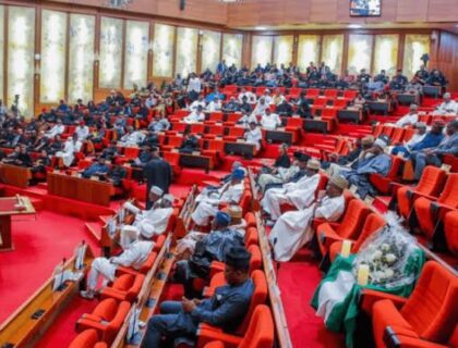 Senate Pushes For Mandatory Use Of Nigerian-Made Vehicles In MDAs