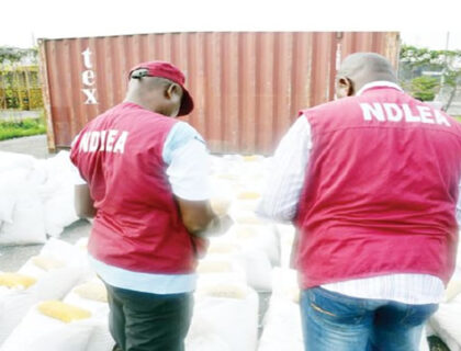 NDLEA Arrests 127 Drug Offenders, Seizes Over 1,205 kg of Narcotics in Bauchi