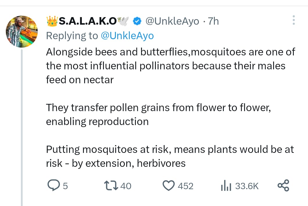 “We Are Because They Are” — X User Explains Mosquitoes’ Importance to the Ecosystem
