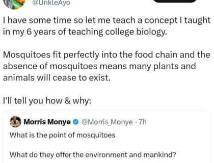 “We Are Because They Are” — X User Explains Mosquitoes’ Importance to the Ecosystem