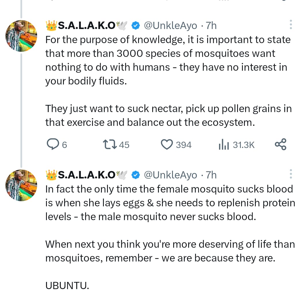 “We Are Because They Are” — X User Explains Mosquitoes’ Importance to the Ecosystem
