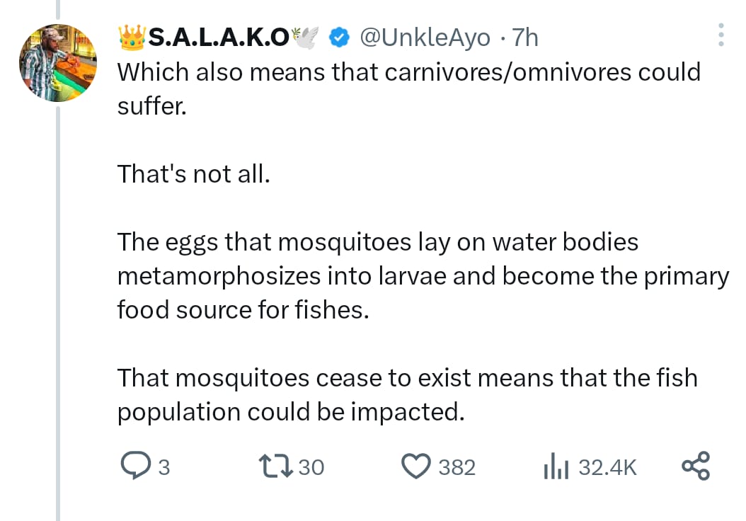 “We Are Because They Are” — X User Explains Mosquitoes’ Importance to the Ecosystem
