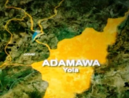 7-Man Robbery Syndicate Busted in Adamawa
