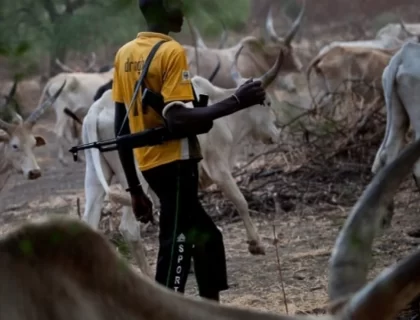 Suspected Herdsmen Attack Naka, Benue; Scores Feared Dead