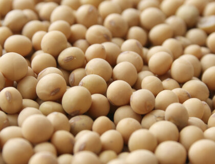 Olam Agri Among Firms Poised to Boost Soybean Production