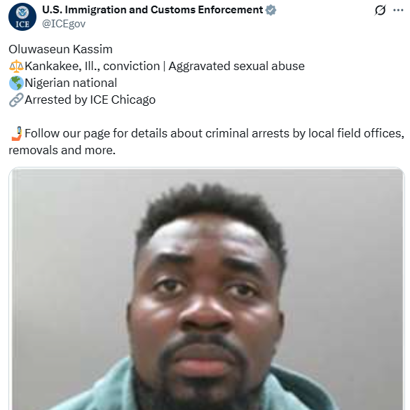 ICE Takes Custody of Nigerian Convicted of Aggravated Sexual Abuse in America