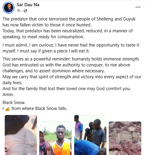 Rampaging Hippopotamus Butchered for Meat After Deadly Invasion in Adamawa