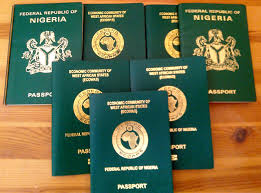 Japan Denies Plans for Special Visa Scheme for Skilled Nigerians