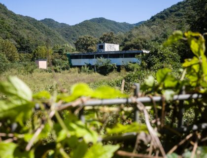 South Korean Women Sue US Military Over Forced Prostitution During Cold War