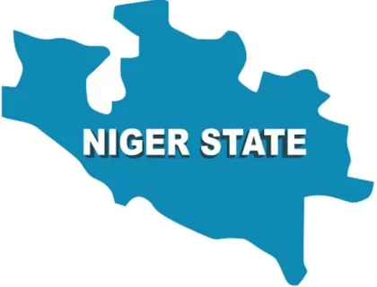 Ten Children Die as Diphtheria Outbreak Hits Niger State