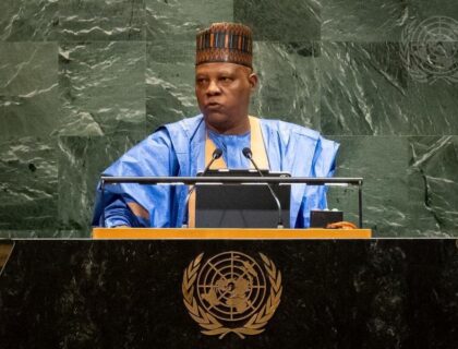 Shettima Assures Nigerians Abroad Of Greater Role In Tinubu’s Reforms