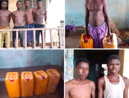 Vigilantes Arrest Seven Suspected Bandits in Kwara State