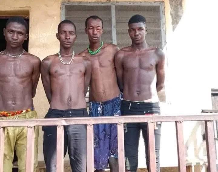 Vigilantes Arrest Seven Suspected Bandits in Kwara State