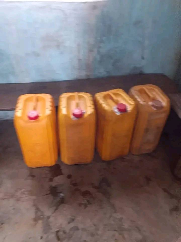 Vigilantes Arrest Seven Suspected Bandits in Kwara State