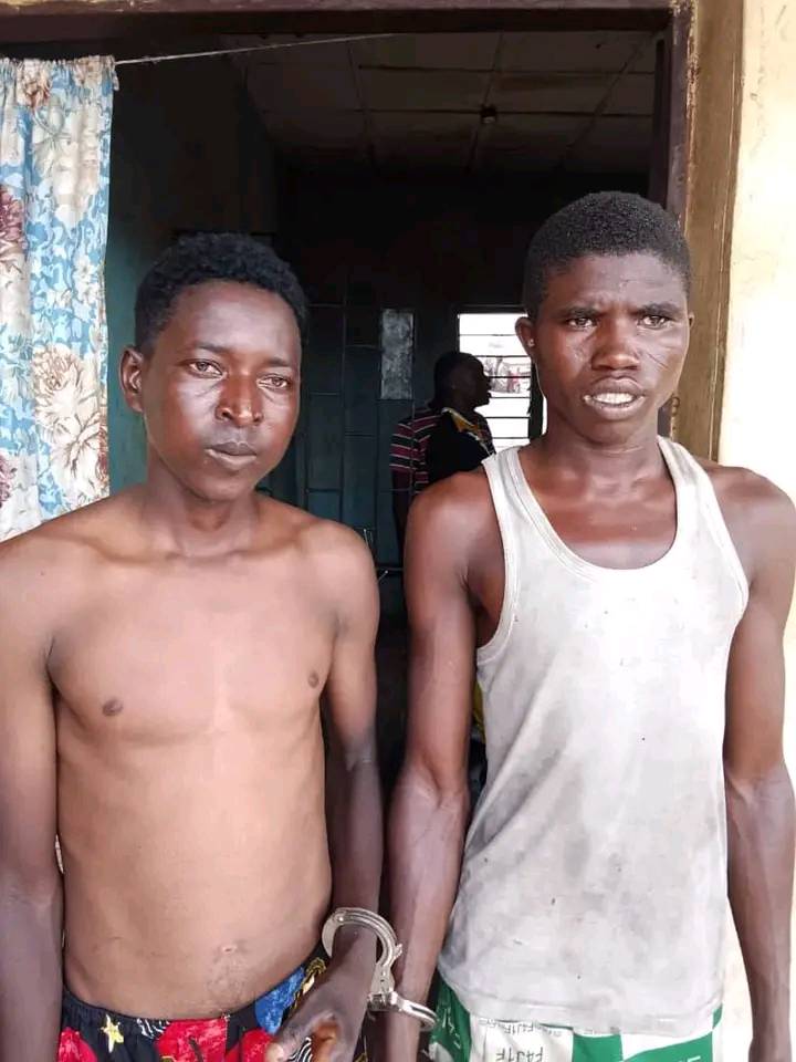 Vigilantes Arrest Seven Suspected Bandits in Kwara State