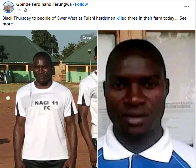 Three Farmers Killed In Fresh Attack On Benue Farmlands