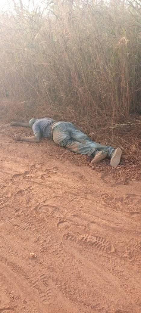 Three Farmers Killed In Fresh Attack On Benue Farmlands