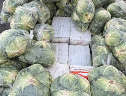 Major Drug Bust: 1.6 Tons of Narcotics Seized Beneath Cabbages in Thailand