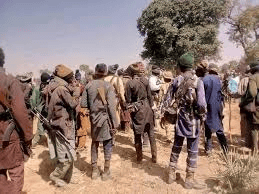 Armed Gangs Kidnap Residents and Steal Cattle in Multiple Kwara Communities